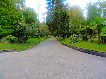 photo 1175308