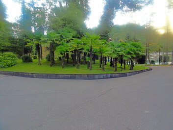 photo 1175309