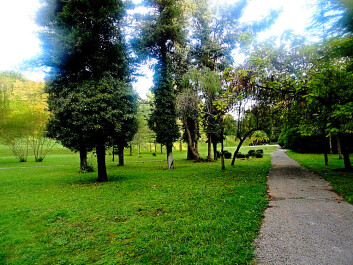 photo 1176345