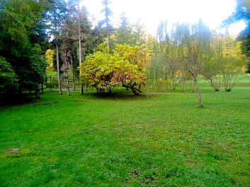 photo 1176346