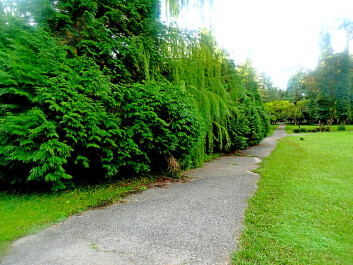 photo 1177043