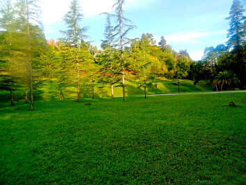 photo 1177045