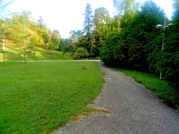 photo 1177046
