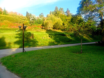 photo 1177476