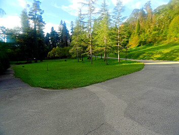 photo 1177477