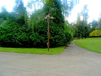 photo 1177478