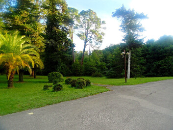 photo 1178976