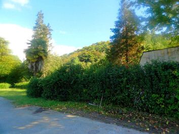 photo 1181108