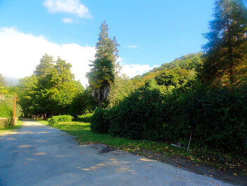 photo 1181109