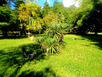 photo 1184427