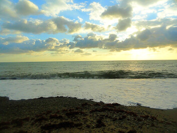 photo 1203794