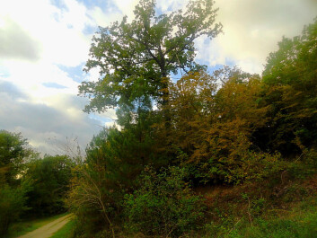 photo 1203798