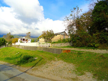 photo 1261695