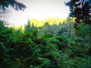 photo 1267568