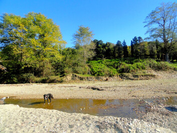 photo 1310323
