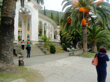 photo 1326974