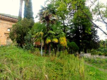 photo 1368784