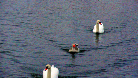 photo 1427346
