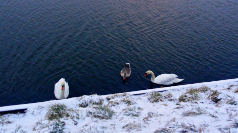 photo 1427694