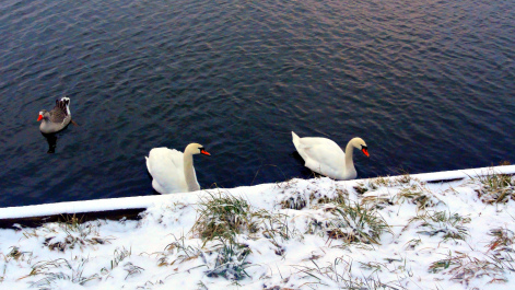 photo 1427795