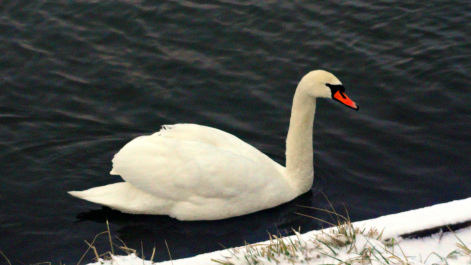 photo 1428301