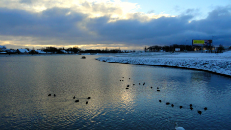 photo 1432449