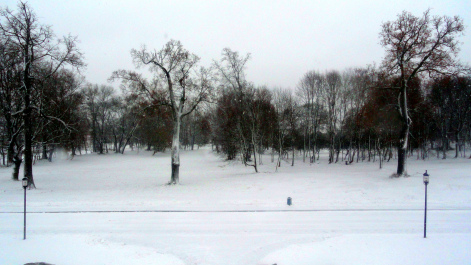 photo 1442214