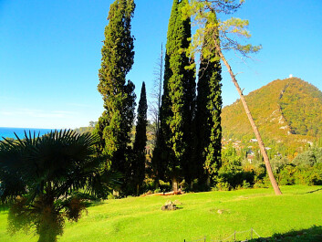 photo 1279766