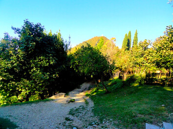 photo 1279770
