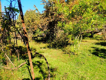 photo 1281065