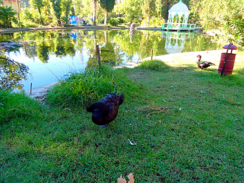 photo 1300966