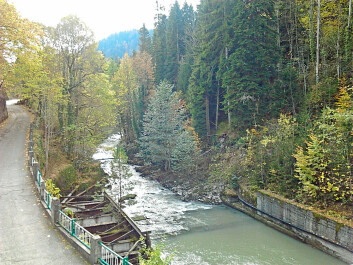 photo 1175109