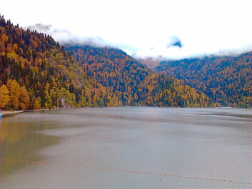 photo 1179558