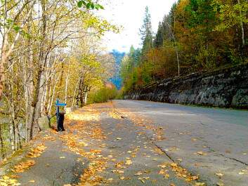 photo 1227390