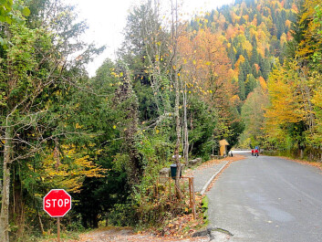 photo 1237677