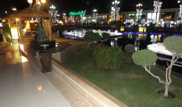 DSC02008