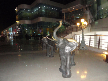 photo 1088368