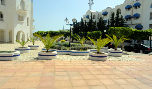 DSC04595