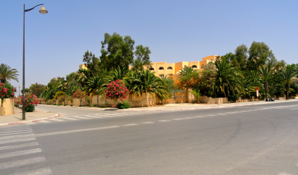 DSC04772