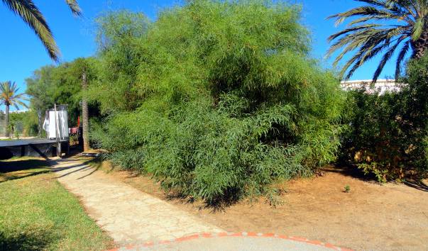 DSC05660