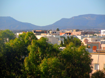 photo 1426822