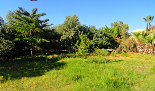 DSC05745