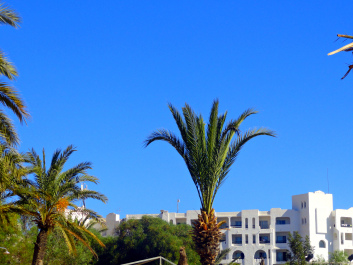 photo 1437633