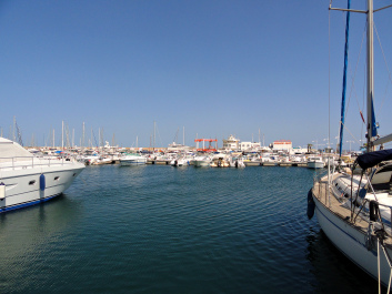 photo 1339265