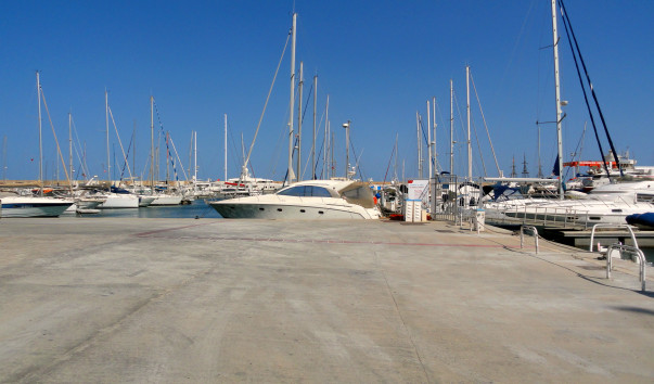 DSC05078