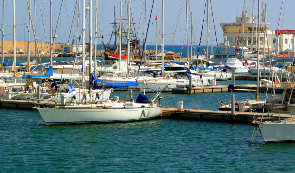 DSC05395