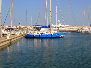photo 1377864