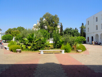 photo 1346428
