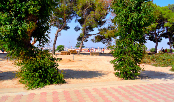 DSC04907