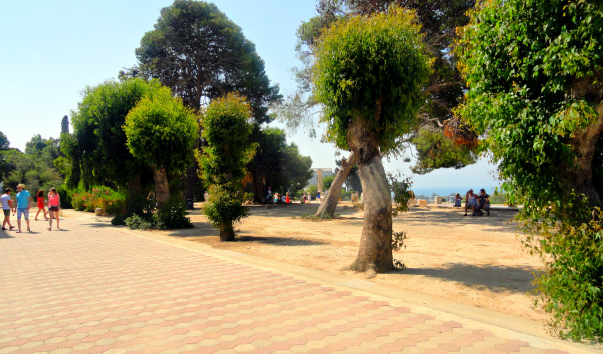 DSC04905